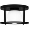 Quoizel Morehouse 1-Light Matte Black Flush Mount QFL5586MBK - alternate 4